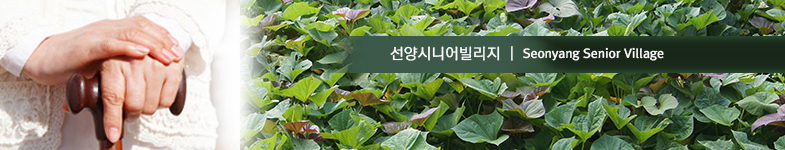 위대한밥상: 식단안내