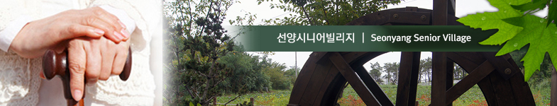 상단배너